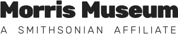 morris museum